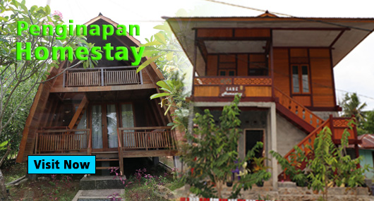 Home - Iklan Home No 1