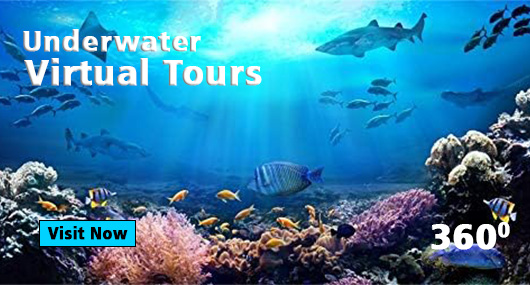 Home - Iklan Home No 3